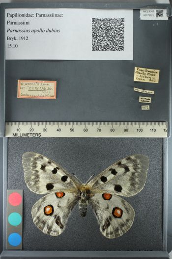 Media type: image;   Entomology 175121